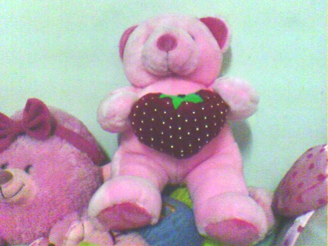 [teddy[10].jpg]
