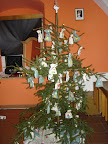 DSC02591.JPG