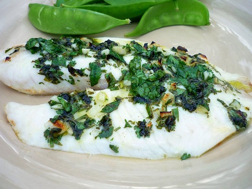 [flickr tilapia[4].jpg]