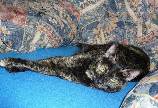 Kira 1