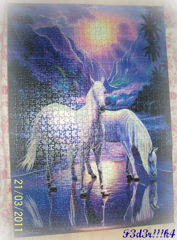 [PuzzleFinito01[8].jpg]