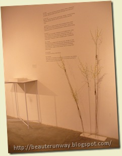 P1080155 P1080155