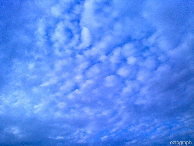 [awan biru[9].jpg]