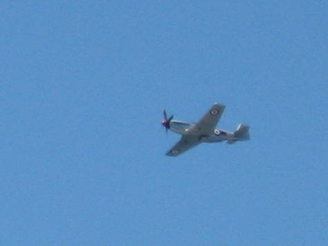 Mustang over Wellington