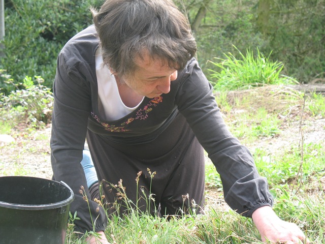 [week-end jardinage 2011 007[2].jpg]