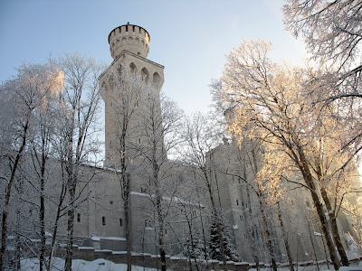 Iced Trees in Neuschwanstein Castle - 365 photo paths