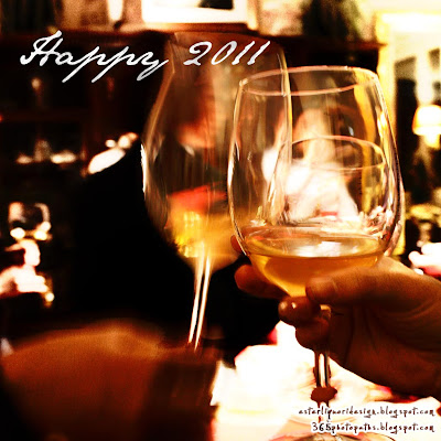 Happy New Year 2011 - 365 photo paths