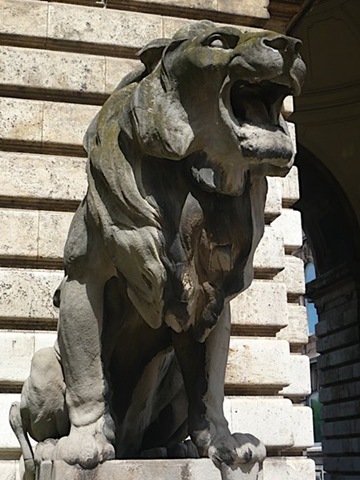 [P1020527[2].jpg]