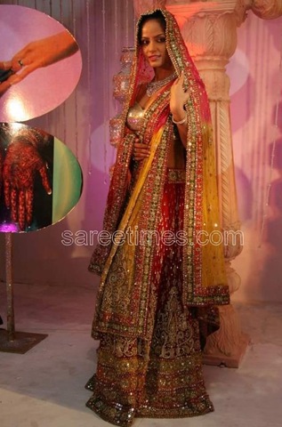 [Neetalulla-Bridal-Collection (2)[14].jpg]