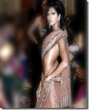 Ritu Beri Saree Collection