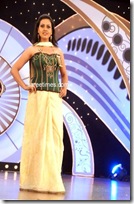 Corset Saree Blouse