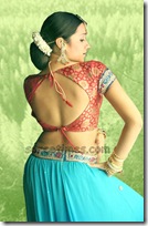 Trisha-Saree-blouse-Design-for-back