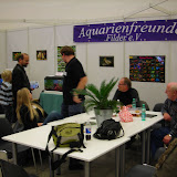 fischundreptil2.jpg