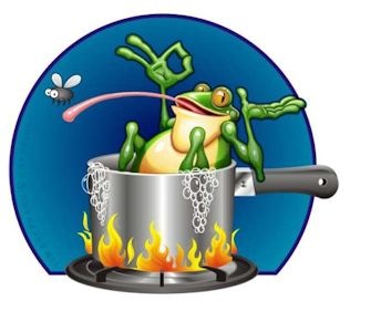 [Frog in pot (3)[4].jpg]