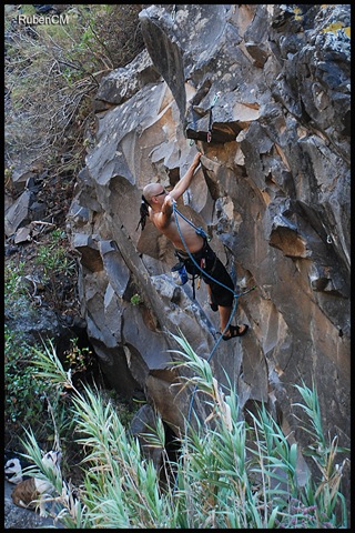 [DSC_3734[4].jpg]