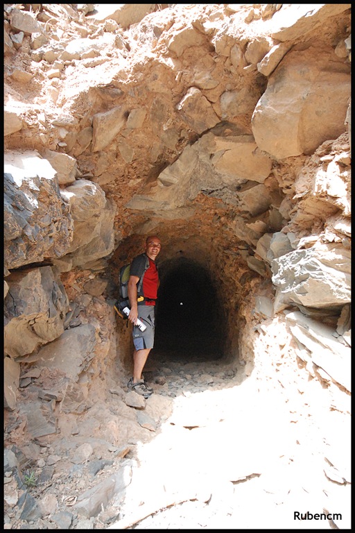 [DSC_3979[5].jpg]