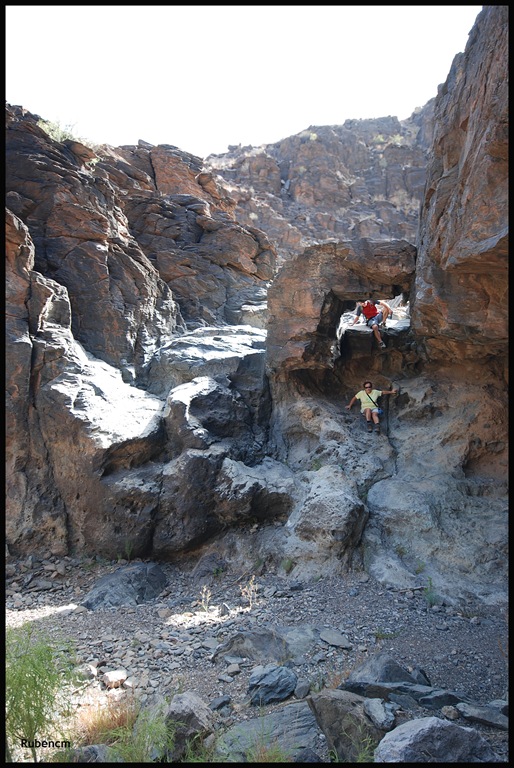 [DSC_3985[4].jpg]