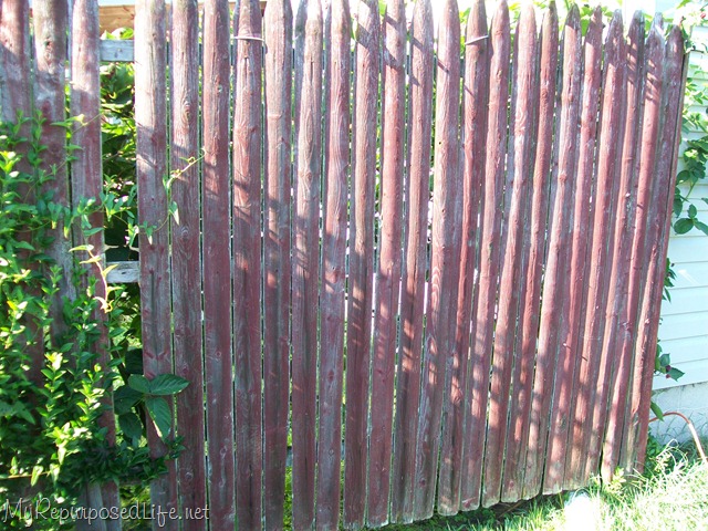 [repurposed stockade fence[13].jpg]