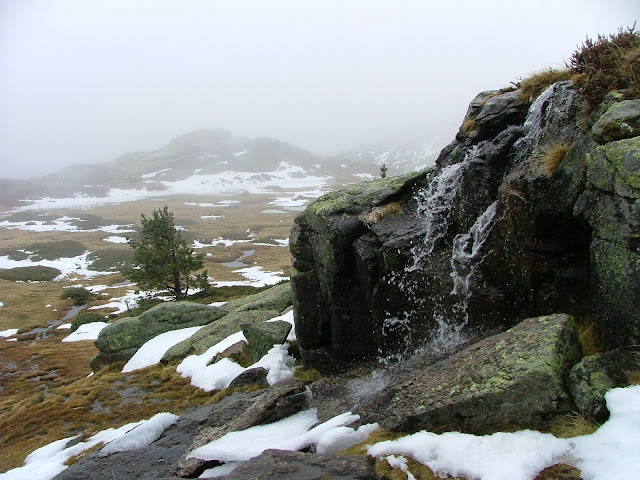 Cerca de la laguna de Los Claveles
