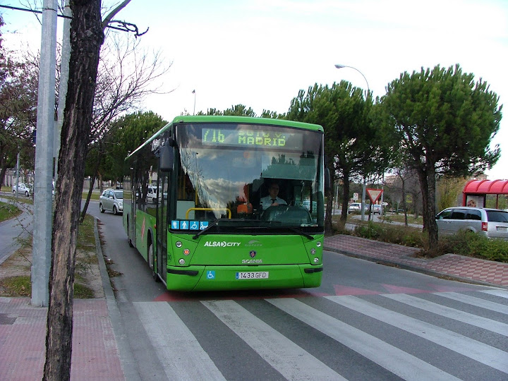 Bus