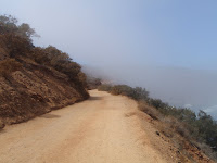 P9254772.JPG