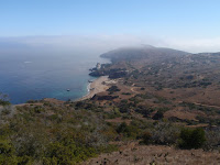 P9264814.JPG