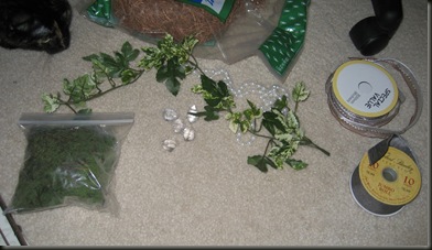 IMG_0937 IMG_0937