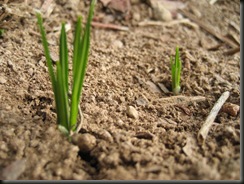 IMG_1273 IMG_1273