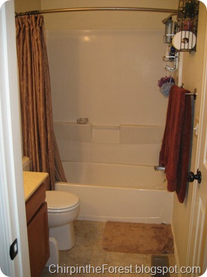 Master Bath Before 1 Master Bath Before 1
