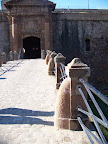100_3226.JPG