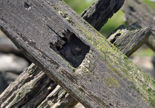 [faringsderelictbrickworksrottenwoodw.jpg]