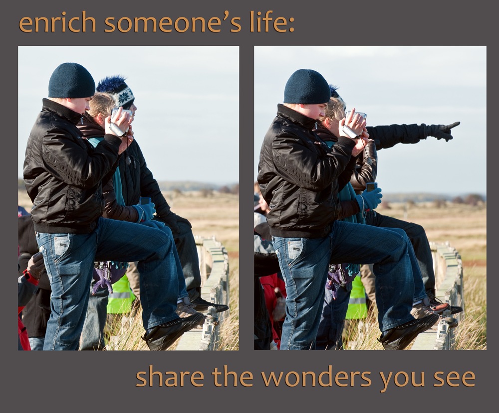 [enrich someones life share the wonders you see copy[13].jpg]
