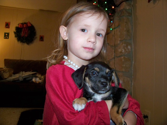 [Christmas 2008 033[2].jpg]