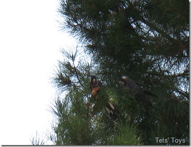 IMG_4836 IMG_4836