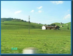 x P1130704 x P1130704