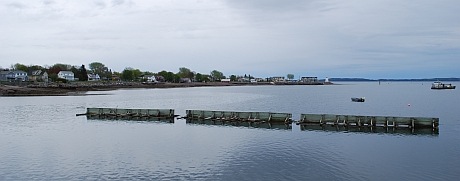[st.andrews3[4].jpg]