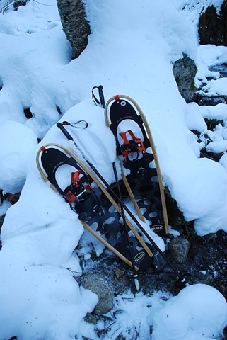 [snowshoes[5].jpg]