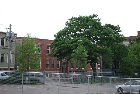[queen street july 5[4].jpg]