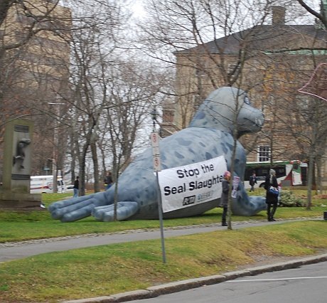 [peta protest[4].jpg]