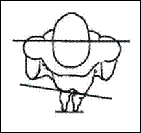 [clip_image006[4].gif]