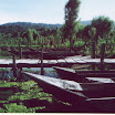 Santiago Atitlan - Barcas.jpg