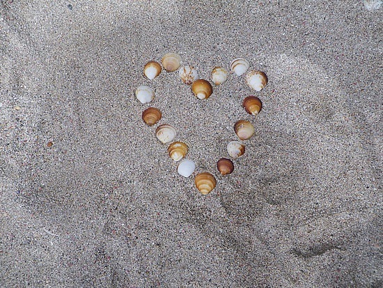 [1.1266038228.shells-on-beach[3].jpg]