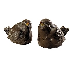 [birds[3].jpg]