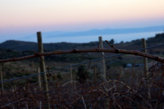 DSC_1076.JPG