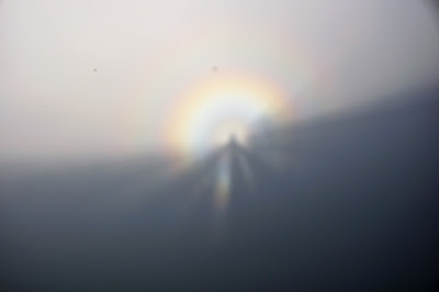 http://lh5.ggpht.com/_TzuZFsILsLc/TEcNWT-0ZmI/AAAAAAAAKX8/QyF4K16eL6A/s400/DSC_0099.jpg