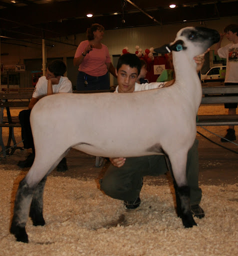 showmanship