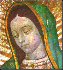 virgen_de_guadalupe-01