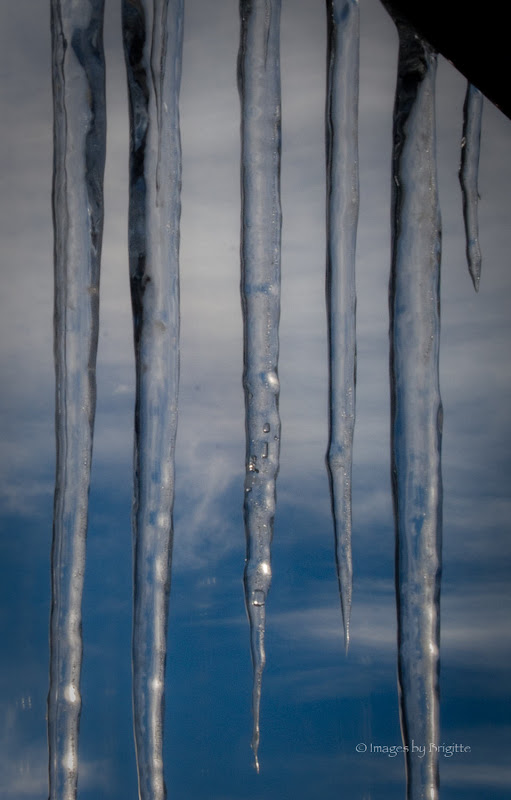 IMAGE: http://lh5.ggpht.com/_U2mqFHIpM1c/TTNrnl2XSZI/AAAAAAAAE2c/BDeCIF4SCPs/s800/December%20271IMG_6488.jpg