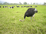 P1030057.JPG