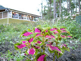 P1030104.JPG